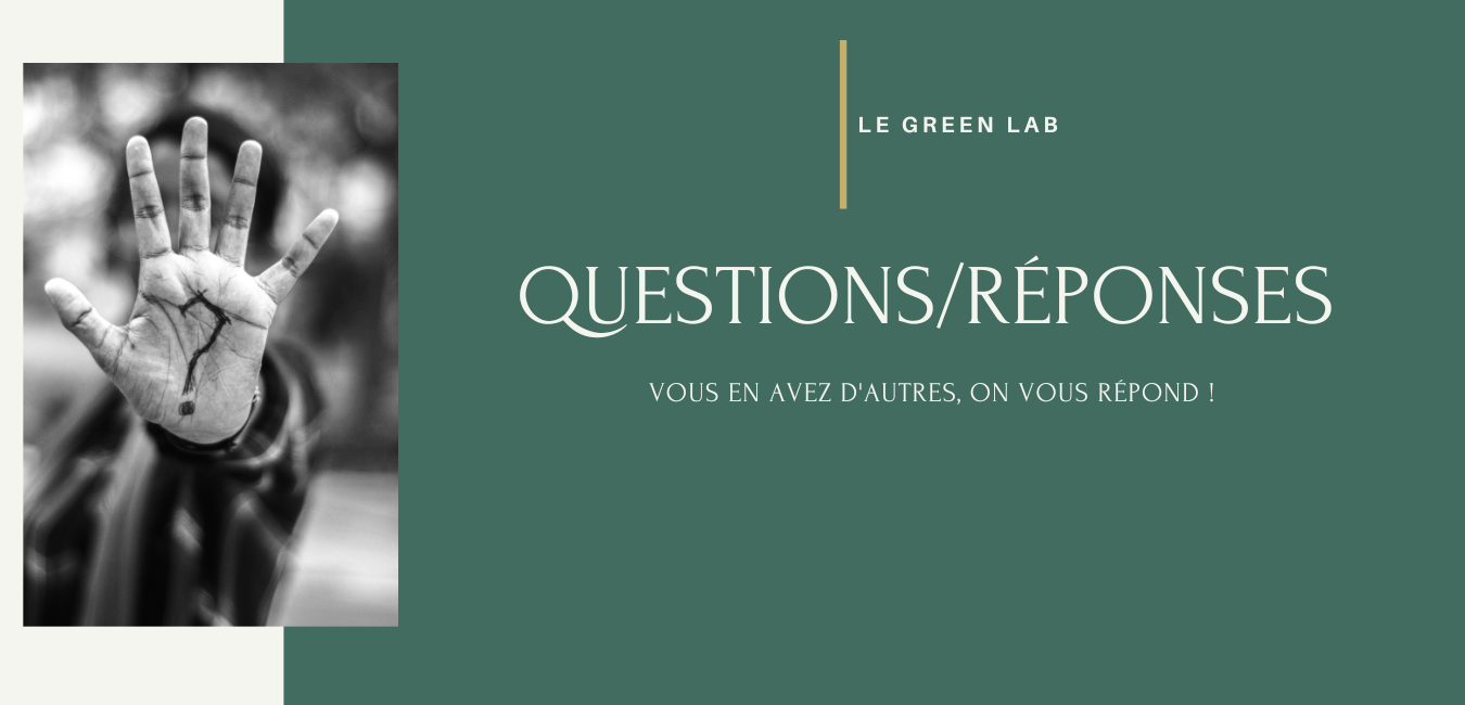 Questions-Réponses-du-Green-Lab------Ecolieu-et-ferme-alternative-de-Green-et-Local