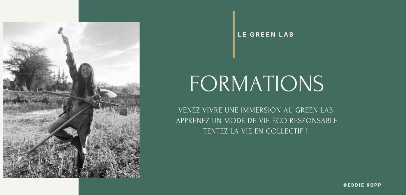 Formation-immersion-dans-un-écolieu-du-Green-Lab------Ecolieu-et-ferme-alternative-de-Green-et-Local