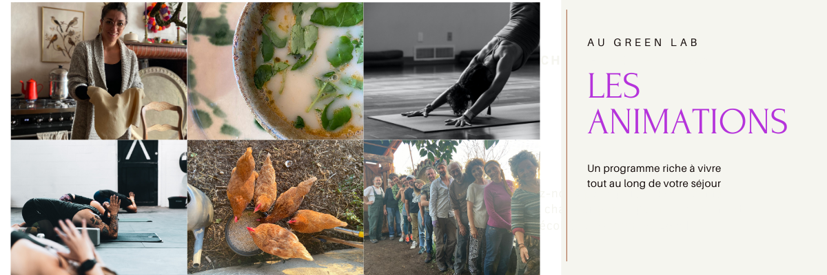 ANIMATIONS-EN-IMMERSION-EN-ECOLIEU-DANS-LE-VAUCLUSE-AU-GREEN-LAB-DE-GREEN-ET-LOCAL