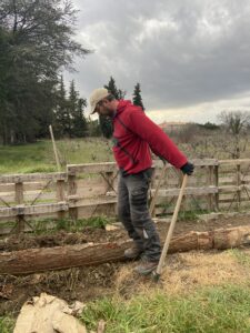 ATELIER-POTAGER_AGROECOLOGIQUE_BIOLOGIQUE-EN-IMMERSION-EN-ECOLIEU-DANS-LE-VAUCLUSE-AU-GREEN-LAB-DE-GREEN-ET-LOCAL