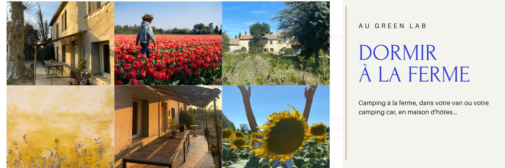 SEJOURS-EN-IMMERSION-EN-ECOLIEU-CAMPING-A-LA-FERME-DANS-LE-VAUCLUSE-AU-GREEN-LAB-DE-GREEN-ET-LOCAL
