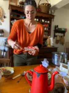 GÂTEAU-CRU-AU-CHOCOLAT-ET-FRUITS-DE-SAISON-POUR-ALLIER-GOURMANDISE-ET-SANTÉ-CUICINER-CRU-SUR-L-ECOLIEU-)DU-GREEN-LAB-VAUCLUSE-SEJOURS-NATURE-ET-ECOLOGIE