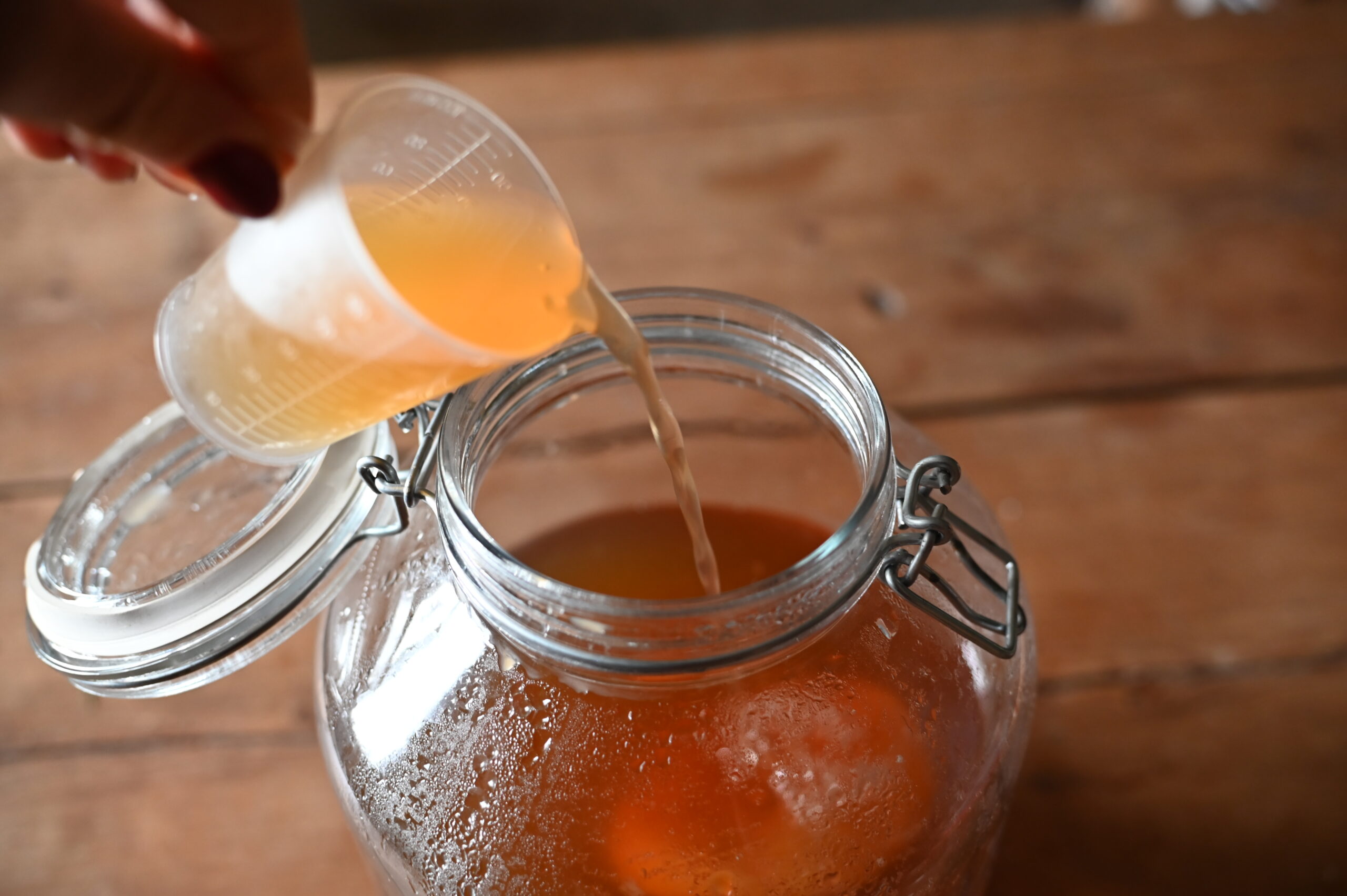 Atelier-de-boisson-fermentée-Entreprise-Tarn-Albi-Toulouse-Gaillac-Atelier-RSE