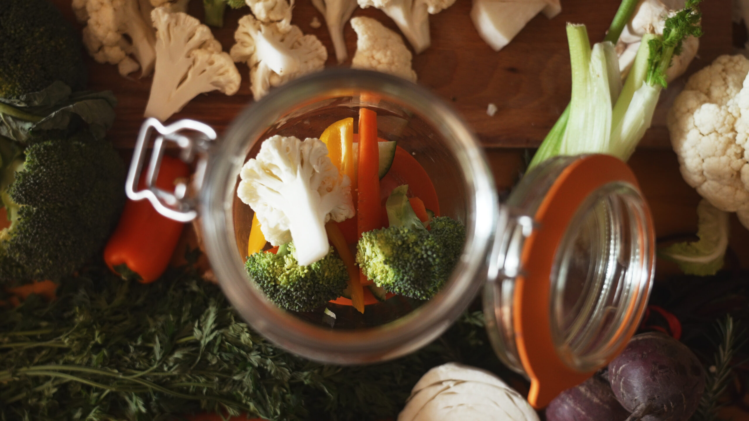 Atelier-de-lactofermentation-Entreprise-Tarn-Albi-Toulouse-Gaillac-Atelier-RSE